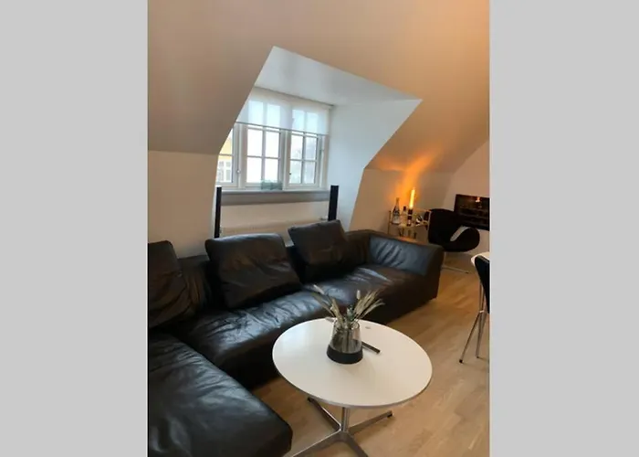 Ferie I -huset Med Den Gronne Dor * Σκάγκεν